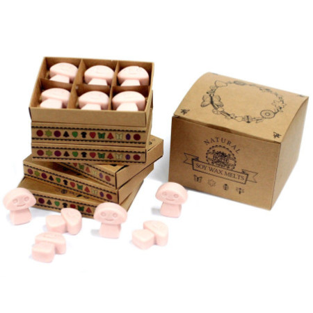 Coffret cadeau de 6 fondants de cire - Old Ginger
