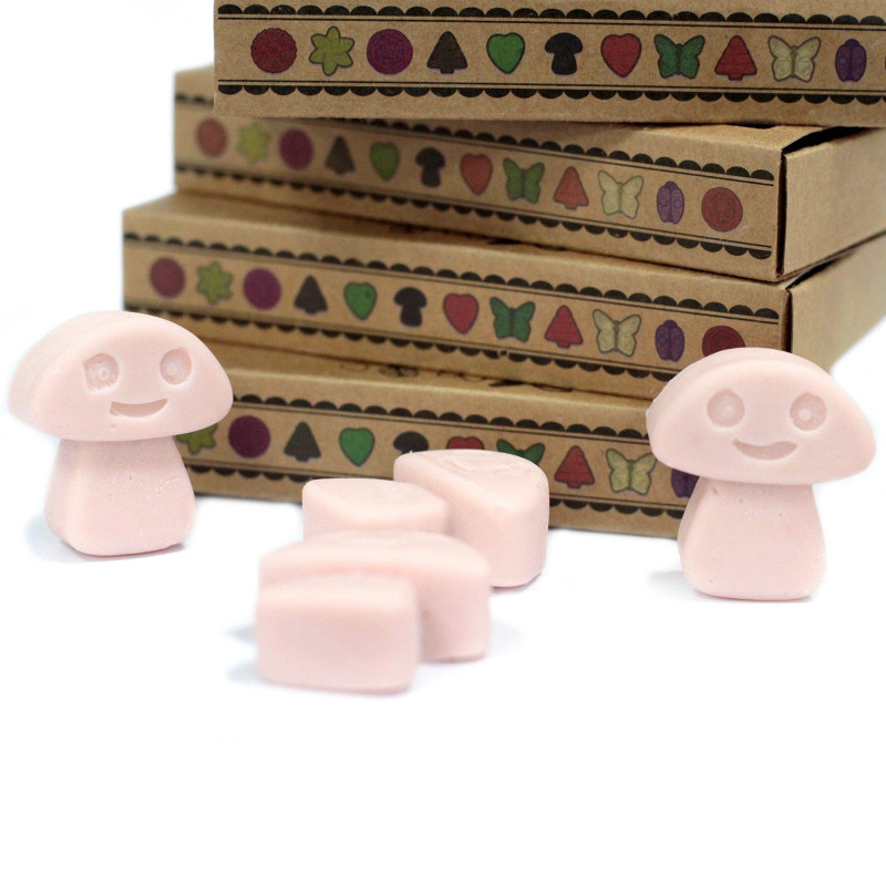 Coffret cadeau de 6 fondants de cire - Old Ginger