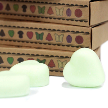 Coffret cadeau de 6 fondants de cire - Fraise pastèque