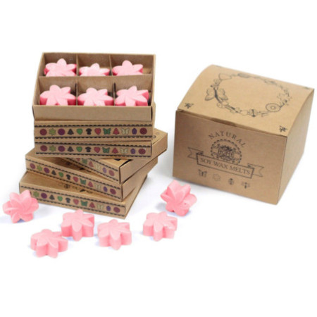 Coffret cadeau de 6 fondants de cire - Magnolia japonais