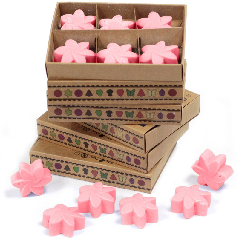 Coffret cadeau de 6 fondants de cire - Magnolia japonais