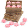 Coffret cadeau de 6 fondants de cire - Magnolia japonais