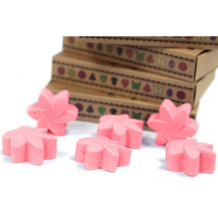 Coffret cadeau de 6 fondants de cire - Magnolia japonais