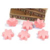 Coffret cadeau de 6 fondants de cire - Magnolia japonais