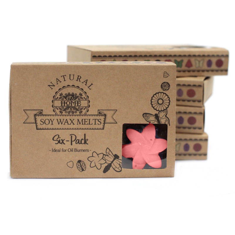 Coffret cadeau de 6 fondants de cire - Magnolia japonais