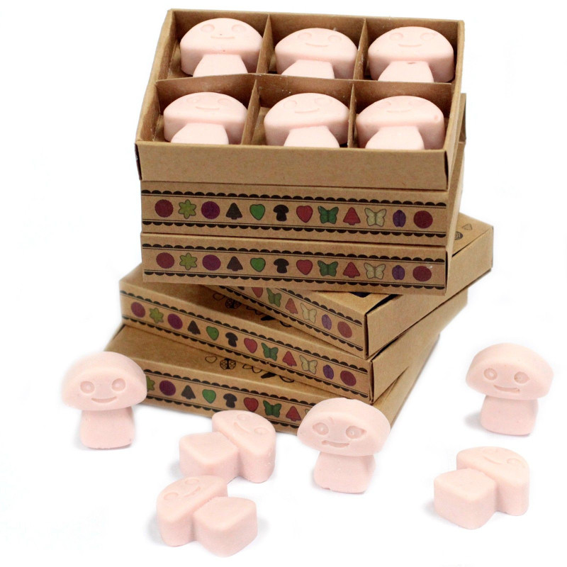 Coffret cadeau de 6 fondants de cire - Bois de santal foncé