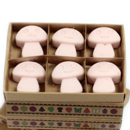 Coffret cadeau de 6 fondants de cire - Bois de santal foncé