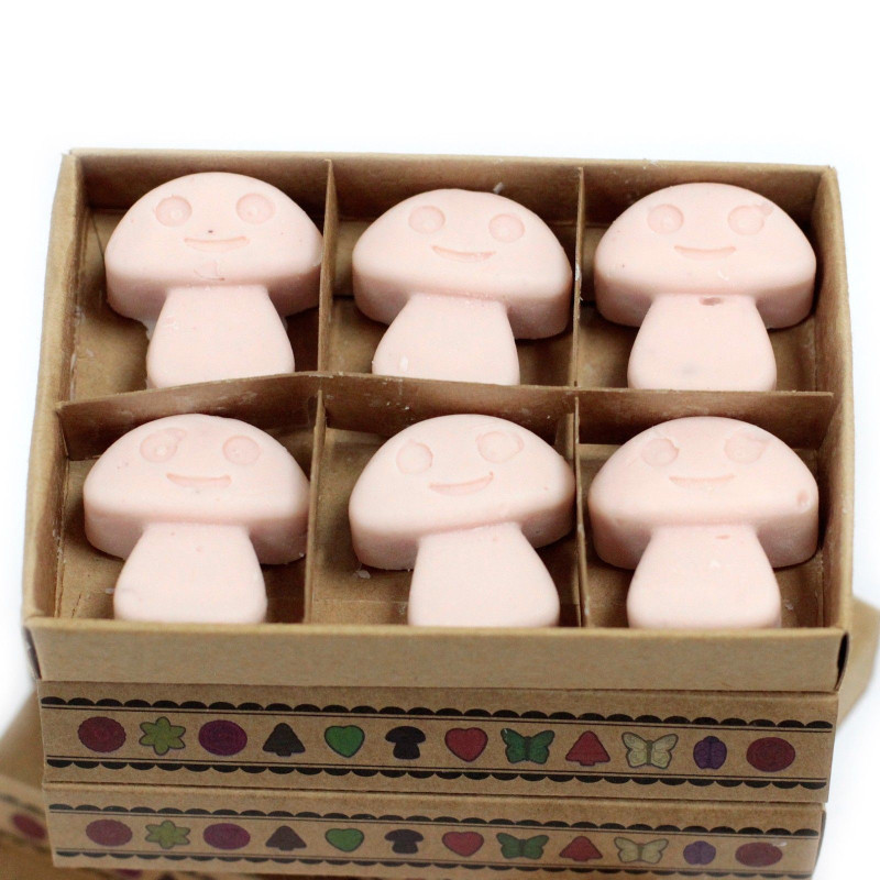 Coffret cadeau de 6 fondants de cire - Bois de santal foncé