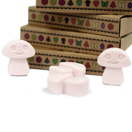 Coffret cadeau de 6 fondants de cire - Bois de santal foncé
