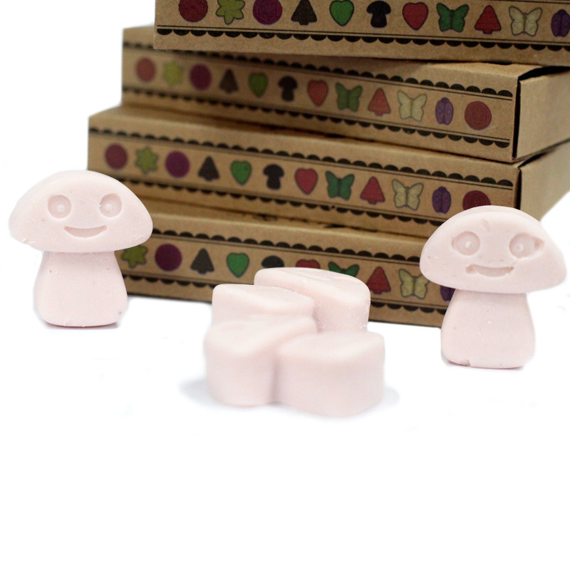 Coffret cadeau de 6 fondants de cire - Bois de santal foncé