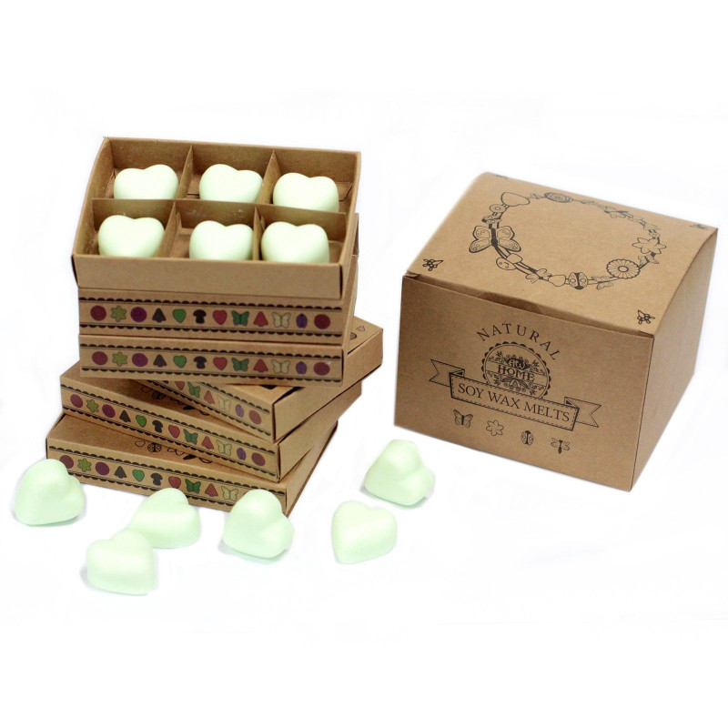 Coffret cadeau de 6 fondants de cire - Menthe et menthol
