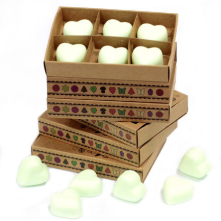 Coffret cadeau de 6 fondants de cire - Menthe et menthol