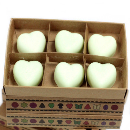 Coffret cadeau de 6 fondants de cire - Menthe et menthol