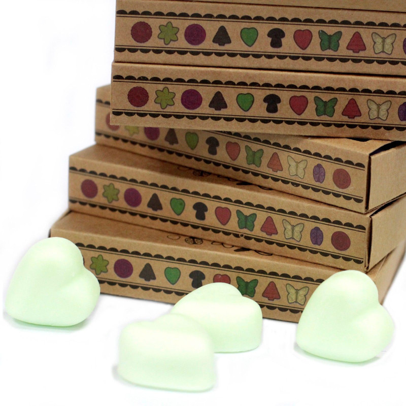 Coffret cadeau de 6 fondants de cire - Menthe et menthol
