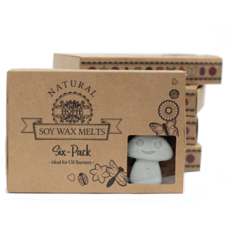 Coffret cadeau de 6 fondants de cire - Patchouli foncé