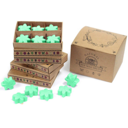 Coffret cadeau de 6 fondants de cire - Jardin caché