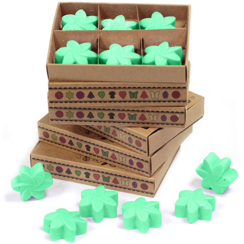 Coffret cadeau de 6 fondants de cire - Jardin caché