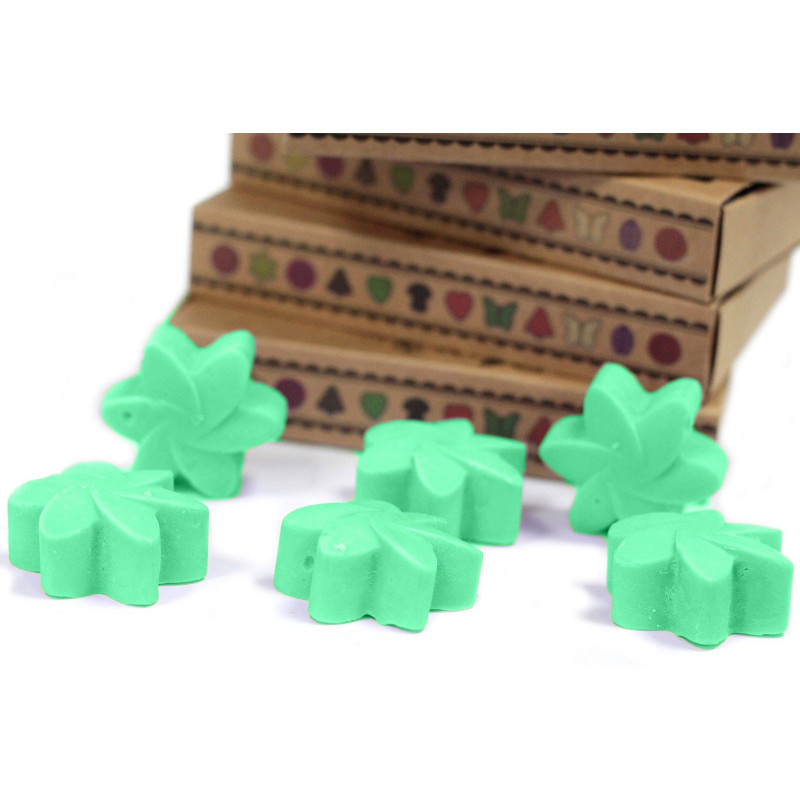 Coffret cadeau de 6 fondants de cire - Jardin caché