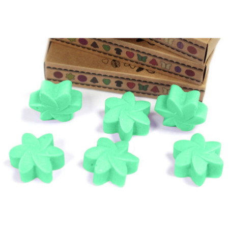 Coffret cadeau de 6 fondants de cire - Jardin caché