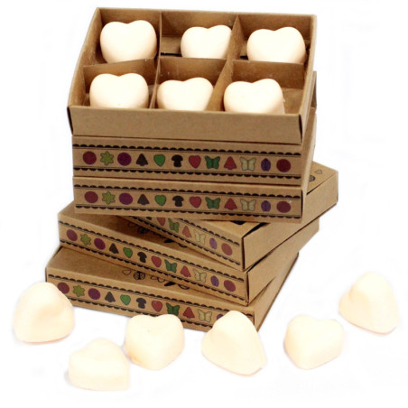 Coffret cadeau de 6 fondants de cire - Cannelle et orange