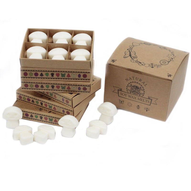 Coffret cadeau de 6 fondants de cire - Cannelle et orange