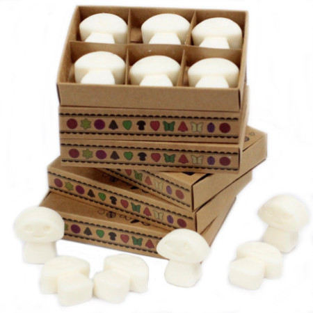 Coffret cadeau de 6 fondants de cire - Musc blanc