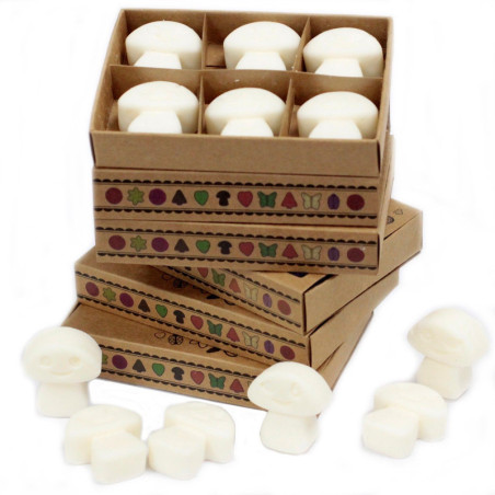 Coffret cadeau de 6 fondants de cire - Musc blanc