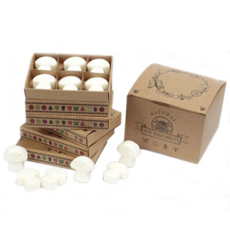 Coffret cadeau de 6 fondants de cire - Musc blanc