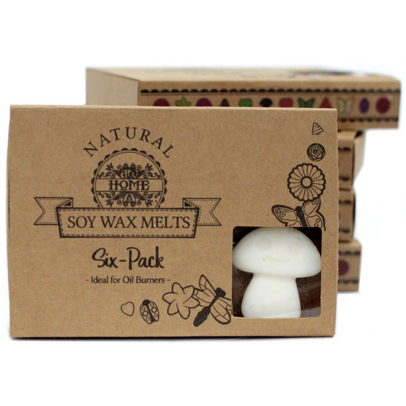 Coffret cadeau de 6 fondants de cire - Musc blanc