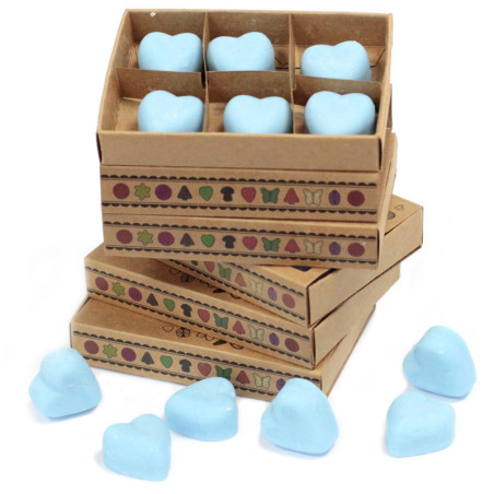 Coffret cadeau de 6 fondants de cire - Dewberry