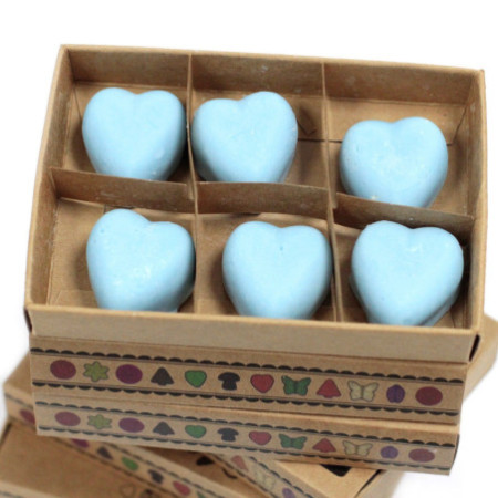Coffret cadeau de 6 fondants de cire - Dewberry