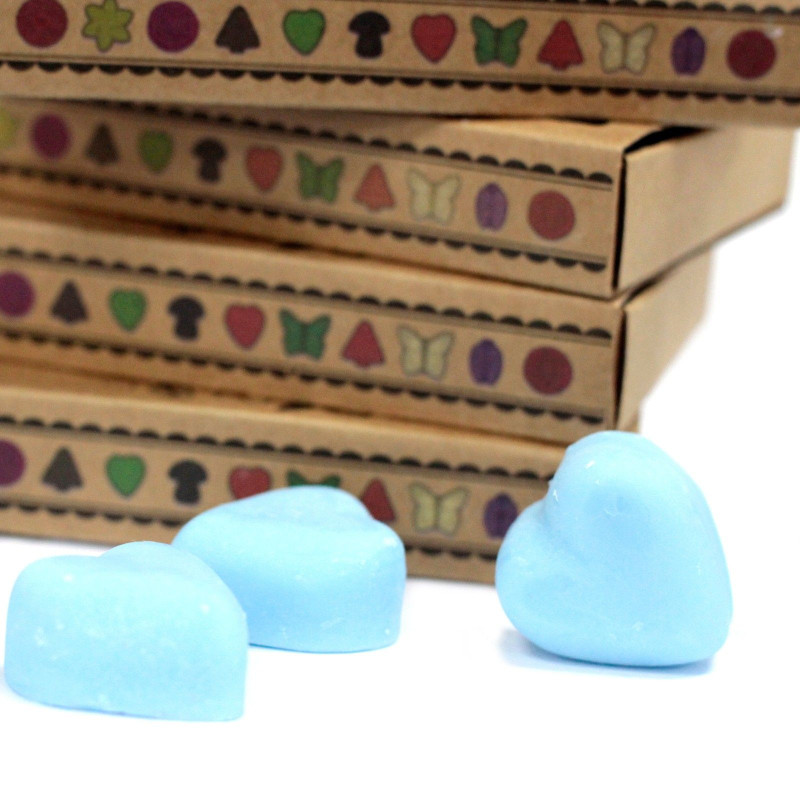 Coffret cadeau de 6 fondants de cire - Dewberry