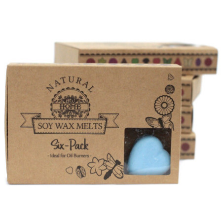 Coffret cadeau de 6 fondants de cire - Dewberry