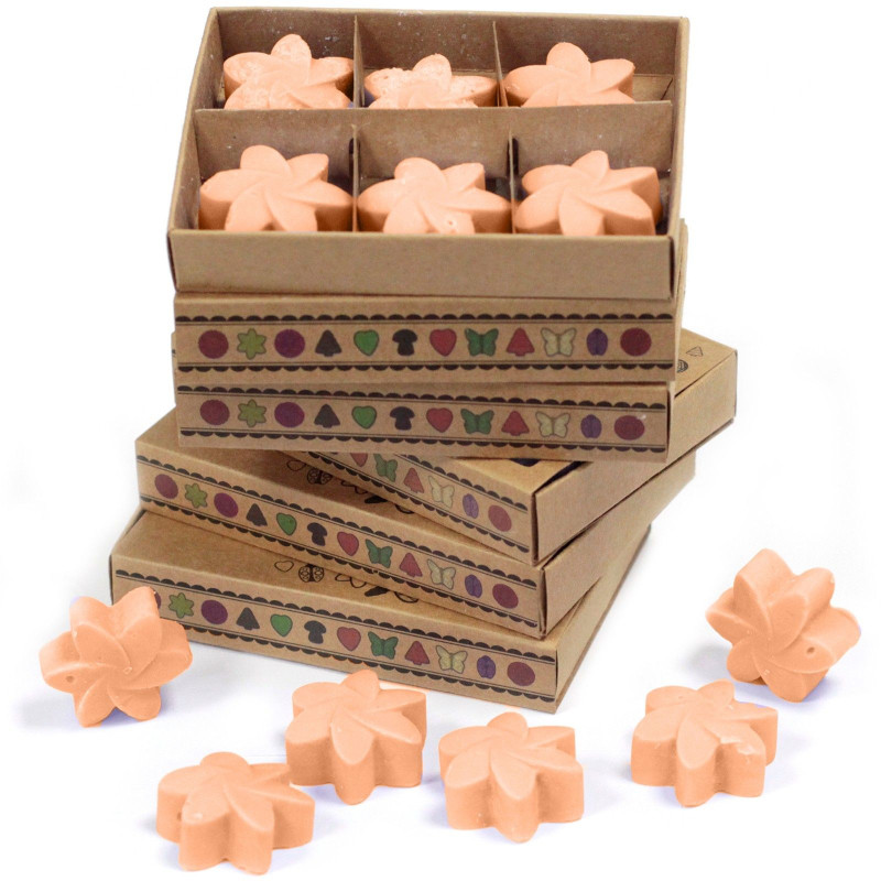Coffret cadeau de 6 fondants de cire - Tubéreuse