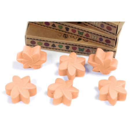 Coffret cadeau de 6 fondants de cire - Tubéreuse
