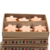 Coffret cadeau de 6 fondants de cire - Tubéreuse