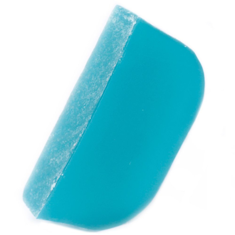 Shampoing solide à l'arbre à thé et à la menthe poivrée - - 115 g environ.