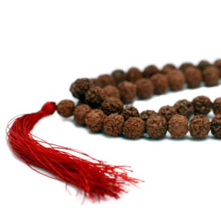 Mala 108 Rudraksha - Marron