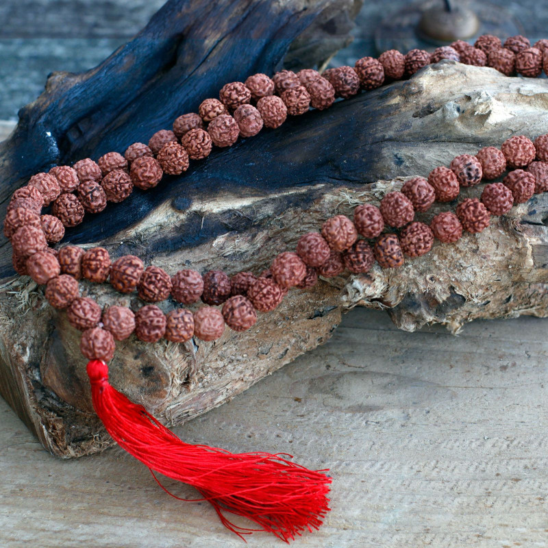 Mala 108 Rudraksha - Marron