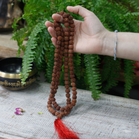 Mala 108 Rudraksha - Marron