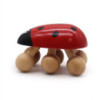 Masseur coccinelle