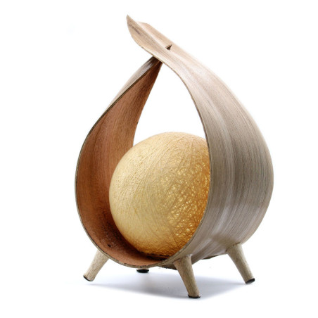 Lampe en noix de coco naturelle - Enveloppe naturelle
