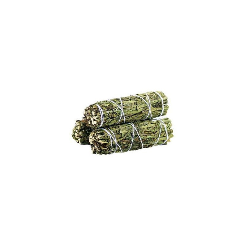 Bâton de maculage - Ruda Rue Sage 10 cm