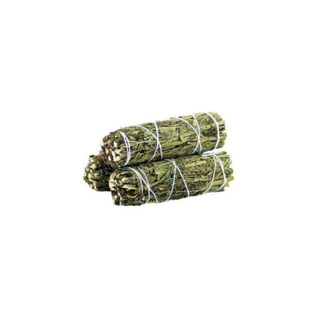 Bâton de maculage - Ruda Rue Sage 10 cm