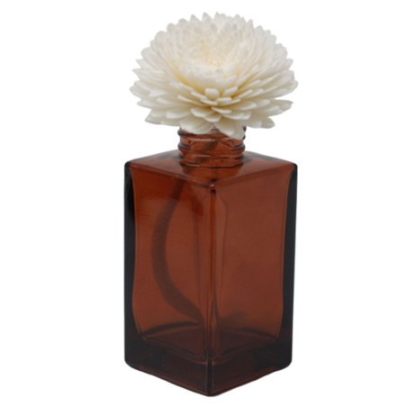 Fleurs naturelles pour diffuseur - Grand œillet sur ficelle