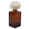 Fleurs naturelles pour diffuseur - Grand œillet sur ficelle