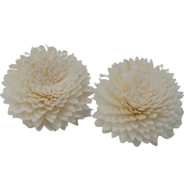 Fleurs naturelles pour diffuseur - Grand œillet sur ficelle