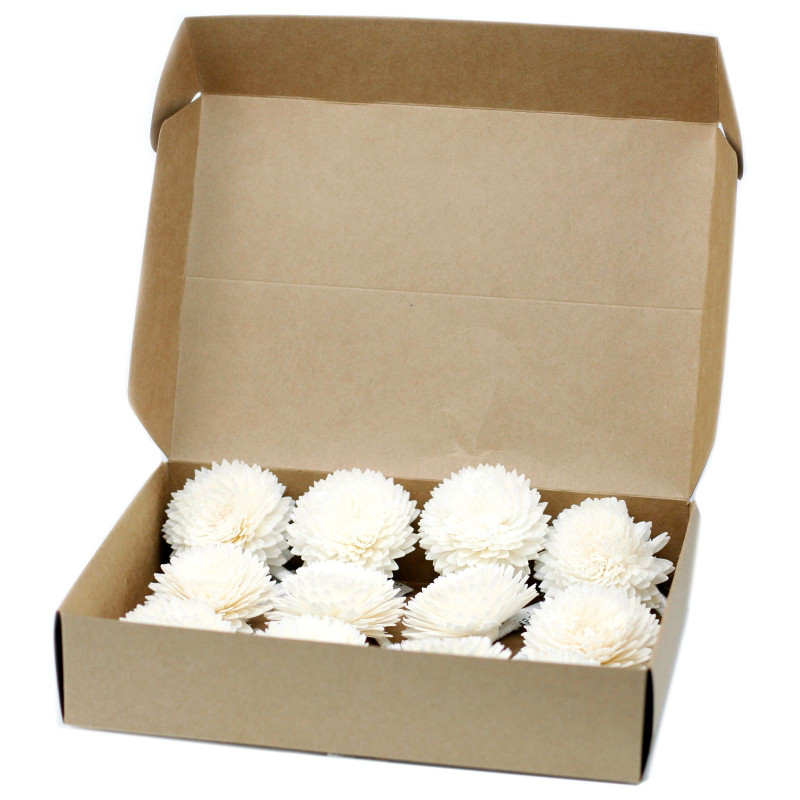Fleurs naturelles pour diffuseur - Grand œillet sur ficelle