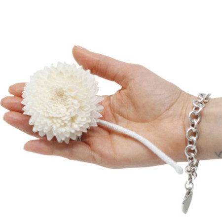 Fleurs naturelles pour diffuseur - Grand œillet sur ficelle