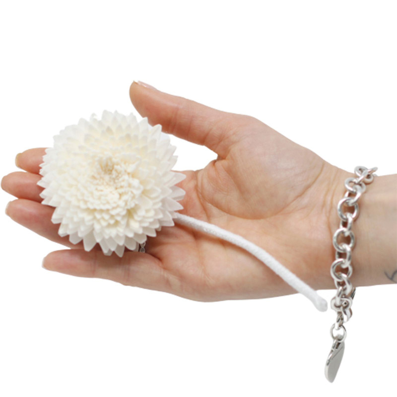 Fleurs naturelles pour diffuseur - Grand œillet sur ficelle